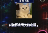 娱乐八卦开心吃瓜视频,开心吃瓜,揭秘明星幕后故事