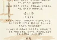 关于春夏秋冬的诗句,春华秋实,夏炎冬雪