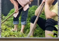 娱乐八卦吃瓜群众1,揭秘“吃瓜群众1”背后的故事