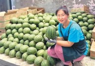 3秒挑出“梦中情瓜” “验瓜师”火了你“吃瓜”了吗??吃瓜今日必吃